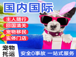 贵阳空运地址国际宠物托运 【国